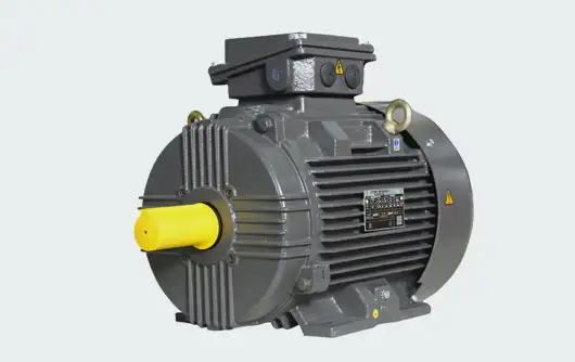 AXELERA Process Performance Motors