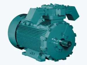 Flame Proof Motors Ex 'd' (LV)