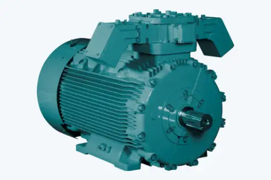 Flame Proof Motors Ex 'd' (LV)