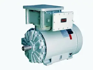 Flame Proof Large Motors Ex 'd' (HV)