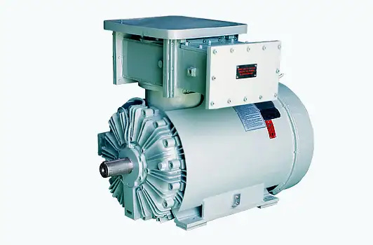 Flame Proof Large Motors Ex 'd' (HV)